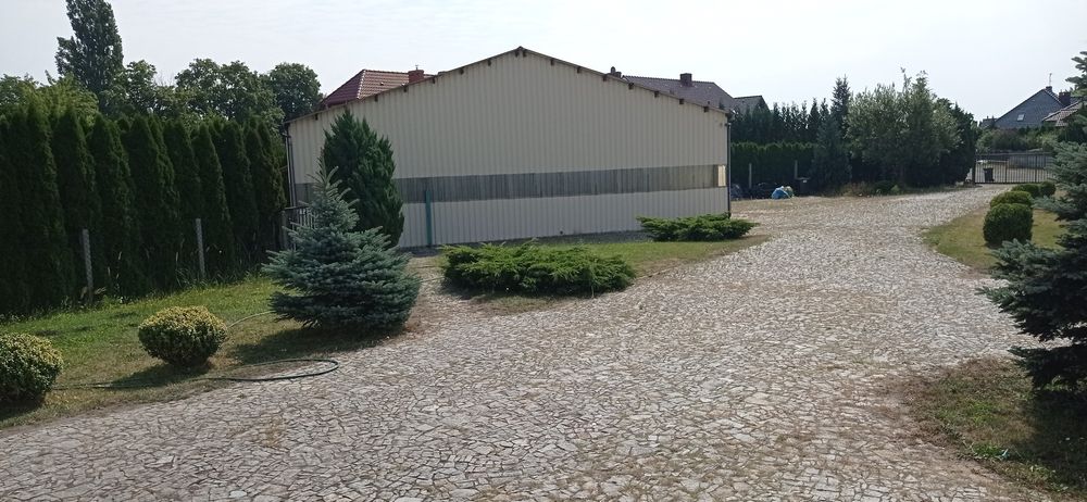 Hala 200 m² Garaż Warsztat Pomieszczenie gospodarcze - Widok 4