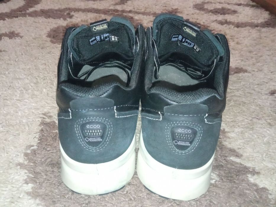 Кросівки Ecco Multi-Vent