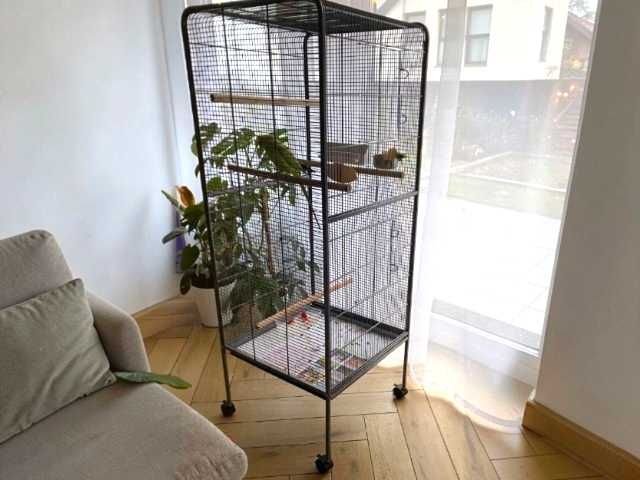 Woliera Dla Ptaków Egzotycznych Papug Na Kółkach 54x54x146 cm NOWA