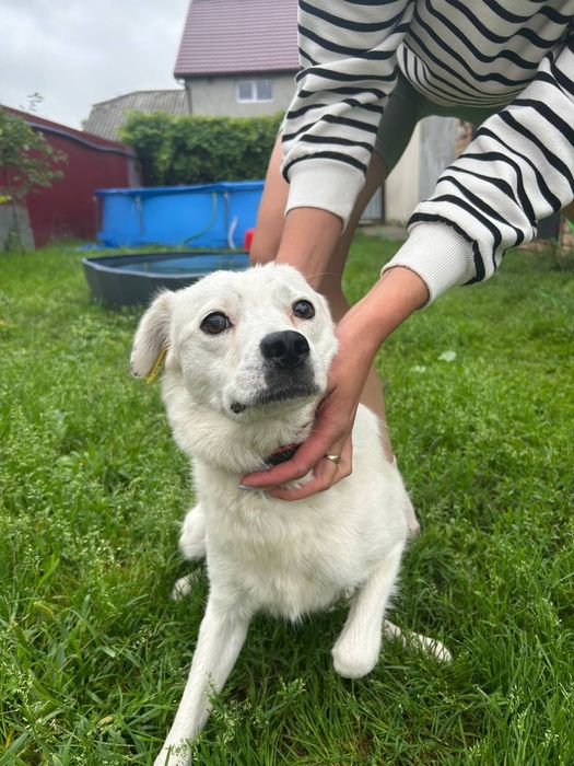 ‼️Евакуйована Дівчинка‼️Шукає родину!