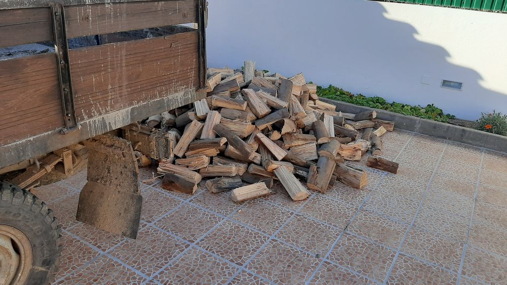 Lenha de eucalipto e sobro