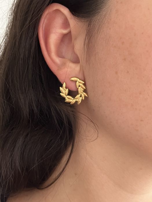 Brincos de aço inoxidavel