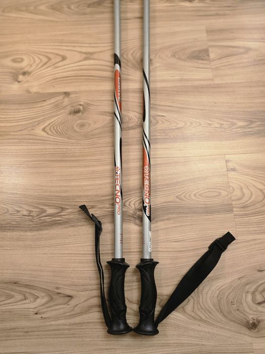 Kijki narciarskie TECHNO PRO CARVE 130 cm