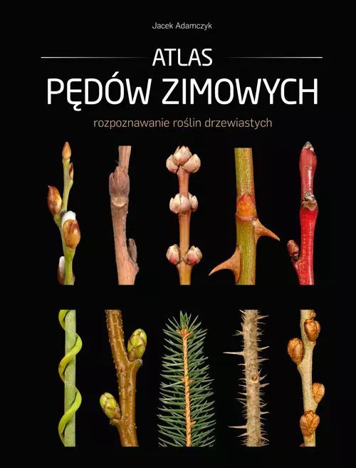Atlas pędów zimowych. Multico. Nowy Produkt