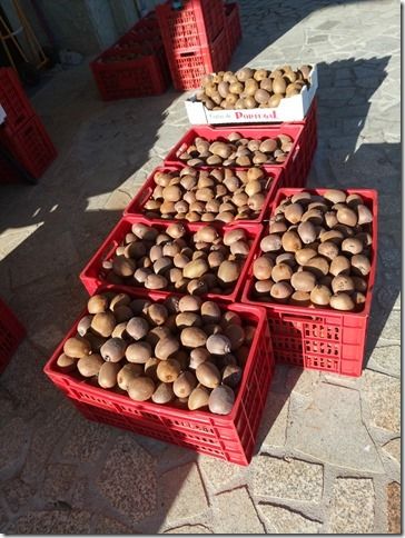 Frutas ZERO PESTICIDAS, Kiwi, Limão Caviar, Yuzu, Mão de Buda, Toranja