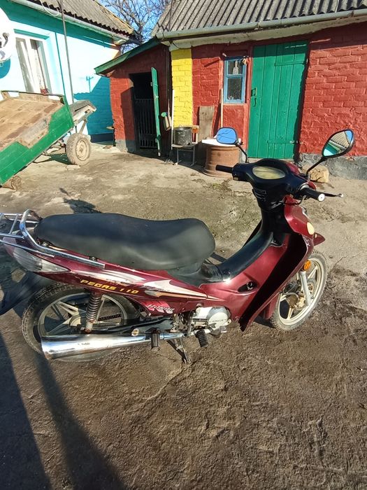 Продам мопед Qinqa pegas110