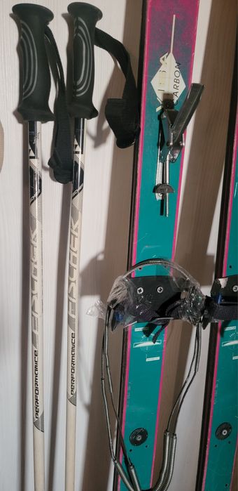 Лыжи Dynastar Viridium(Франція)