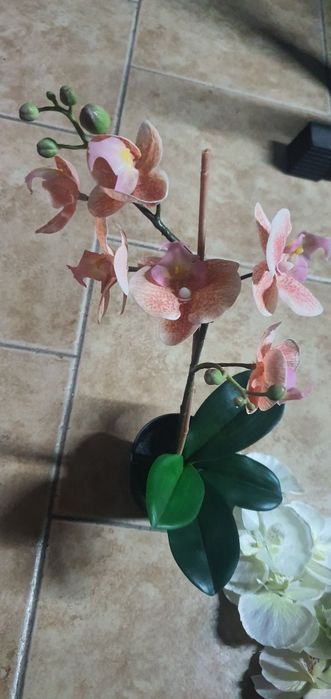 Orquidia artificial