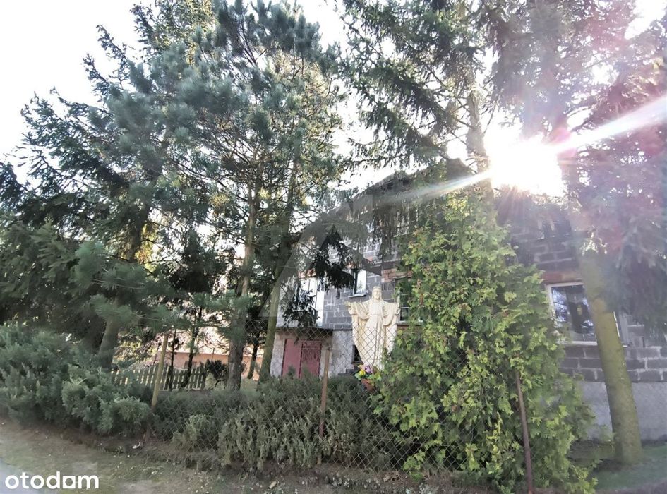 Dom na sprzedaż w Błądzimiu