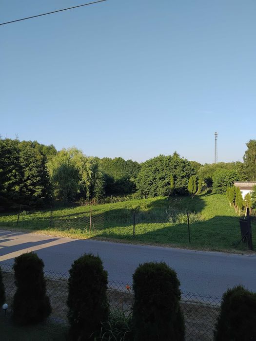 Działka rekreacyjna - Widok 2