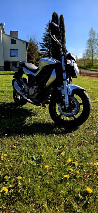 Suzuki gladius 650