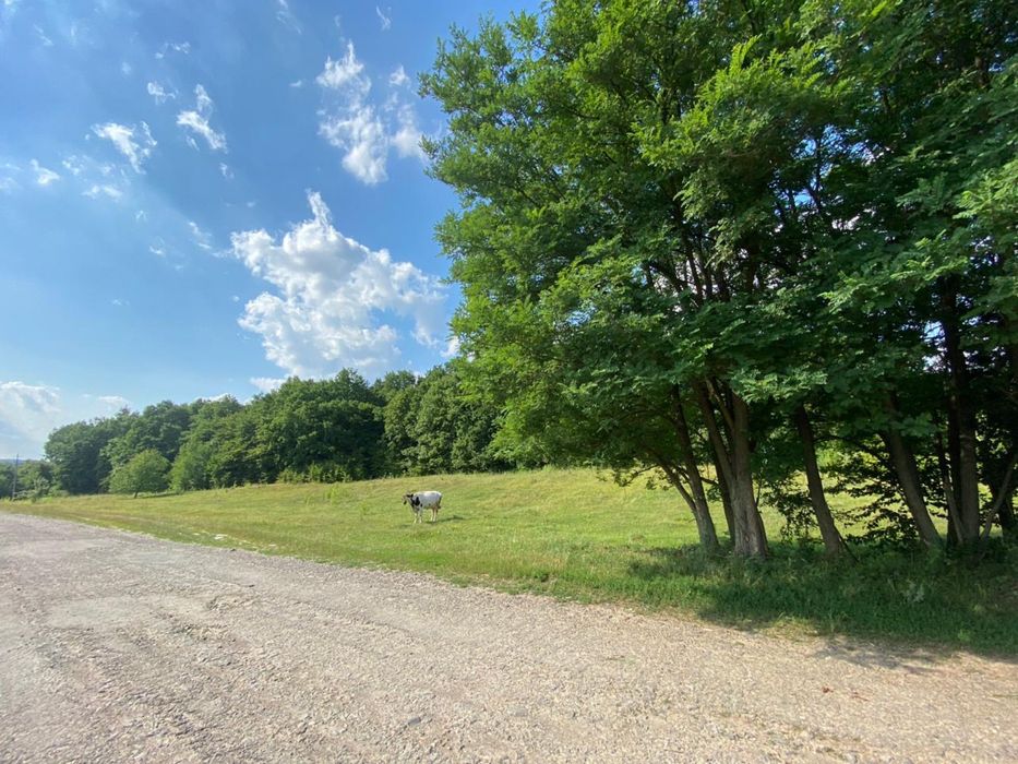 Документи готові для продажу