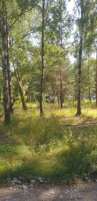 Działki rekreacyjne, letniskowe
