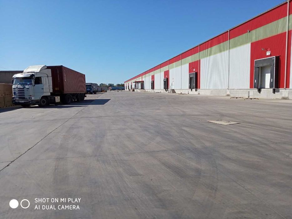 Оренда складу 5000 м2 с. Молодіжне Одеська область  БЕЗ КОМІСІЇ!!!