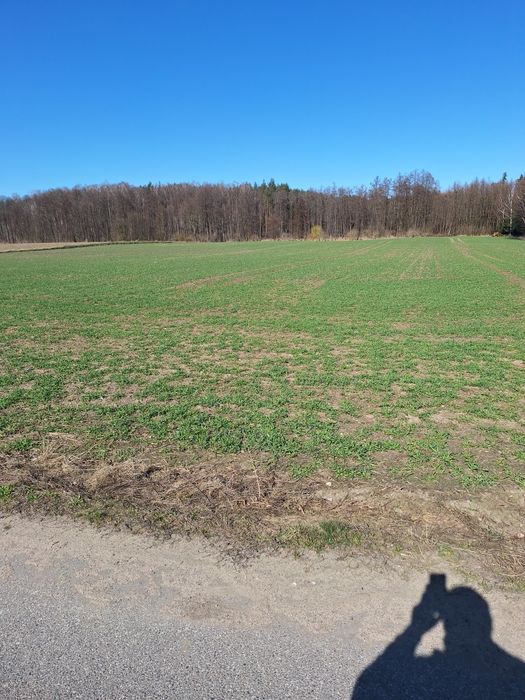 Sprzedam działki budowlane