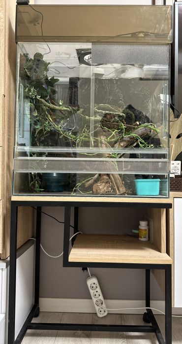 Тераріум для рептилії