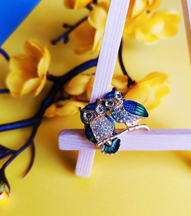 Piękna broszka sowy