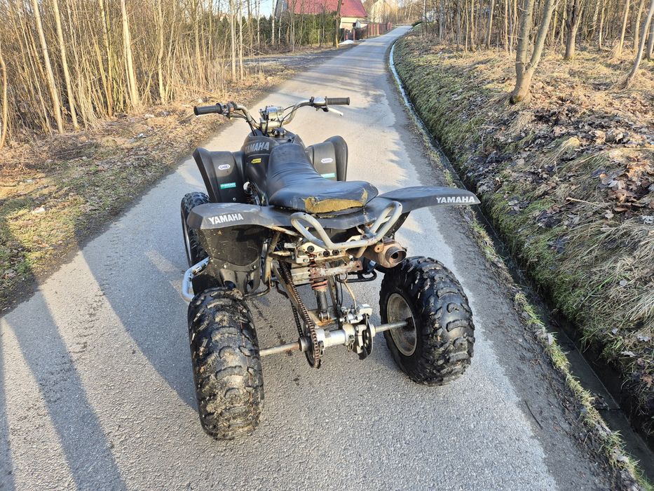 Quad schineray 250/300