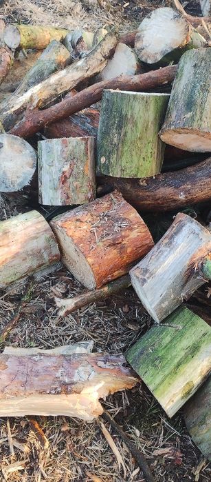 Drewno opałowe cięte dowóz gratis!