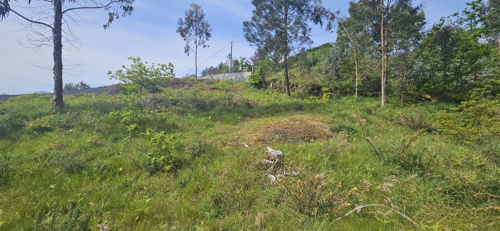 Terreno Rústico vista Rio Douro