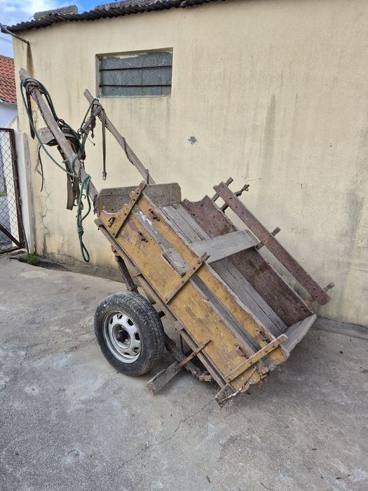 Carroça para burro com colete