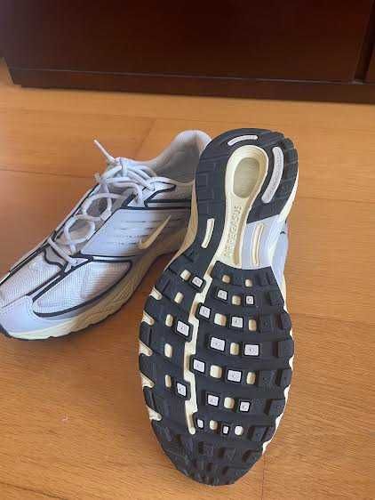 Sapatilhas Nike Air Pegasus