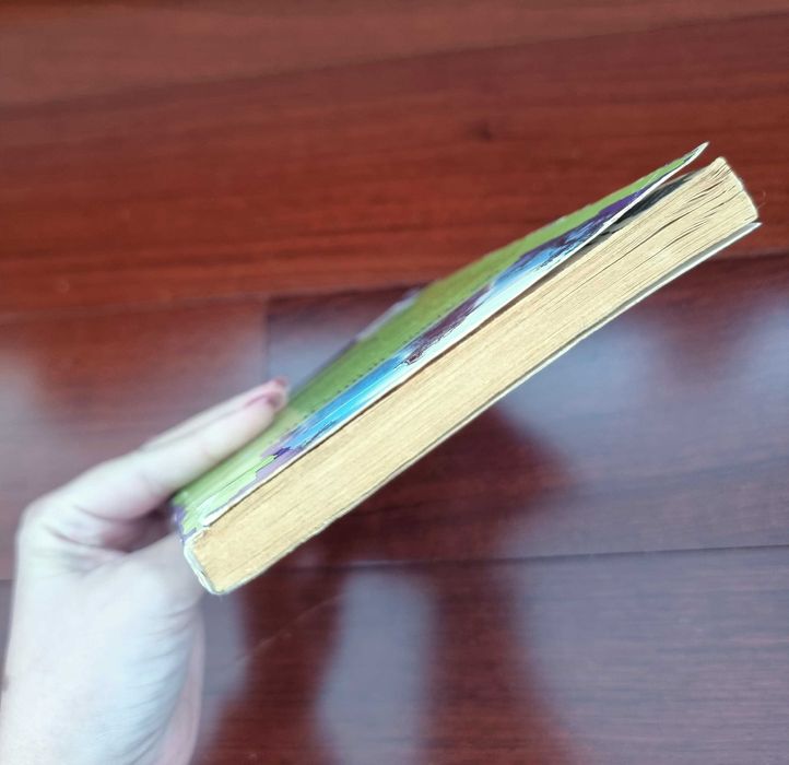 Livro "Arrepios - O Lobisomem do Pântano" Vol. 6 de R. L. Stine