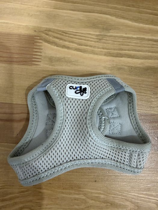 Речі для маленької собаки, цуценя