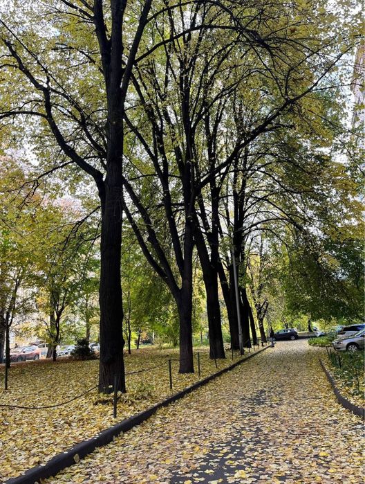 Продаж 3 кім квартири,Лаврська 4, Івана Мазепи, метро Арсенальна,Печерськ