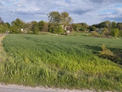Sprzedam działkę Zdrapy powiat Kraśnik o pow. 3400 m2