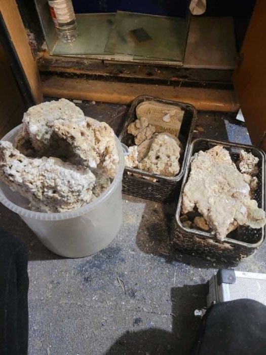 Akwarium morskie - żywa skała