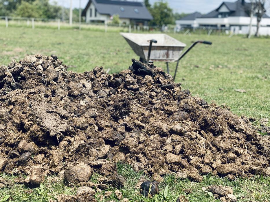 Obornik, nawóz, gnój