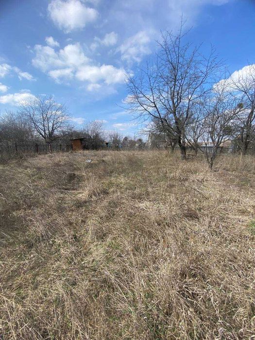 Продам дачу в селі Фурси біля лісу