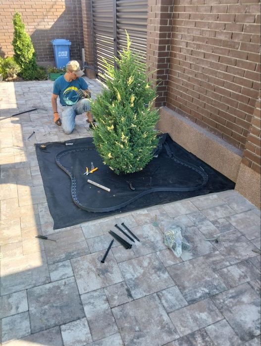 Послуги садівника Садівник посадка живоплоту , жива огорожа