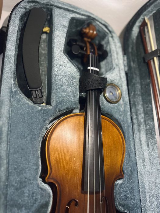 Violino conservatório