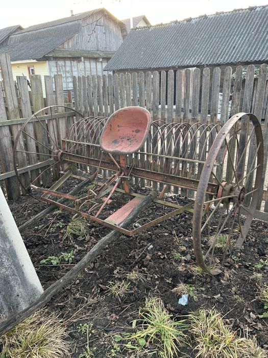 Кінська гребачка