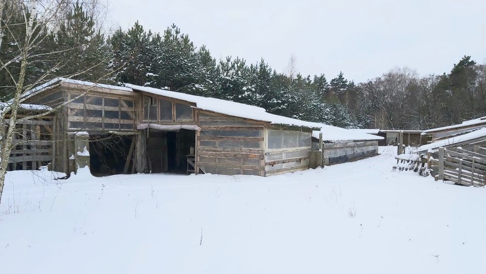 Продам  свиноферму у ліса +10 Га землі,  20 км від Чернігова.