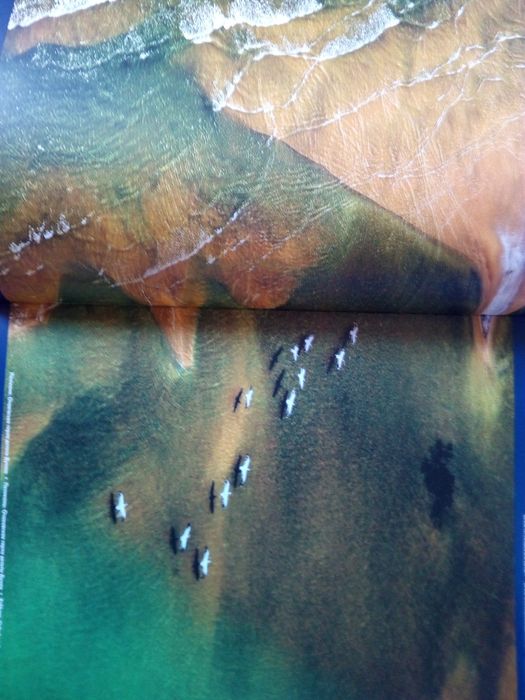 Книга Одеская область