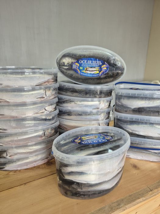 Малосольная  дунайска селёдка (дунайка) 2026