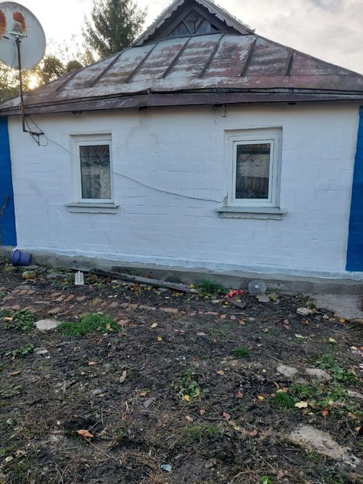 Будинок в селі з власним виходом до річки