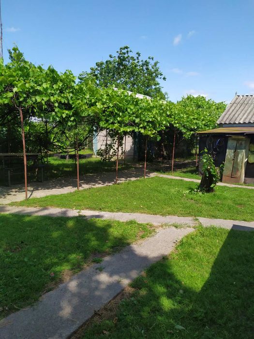 Продам Дом село Пришиб