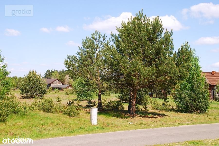 Nowy Tomyśl okolice.Piękna Działka budowlana przy lesie z mediami .