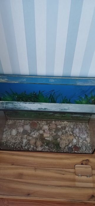 Акваріум на 180 л