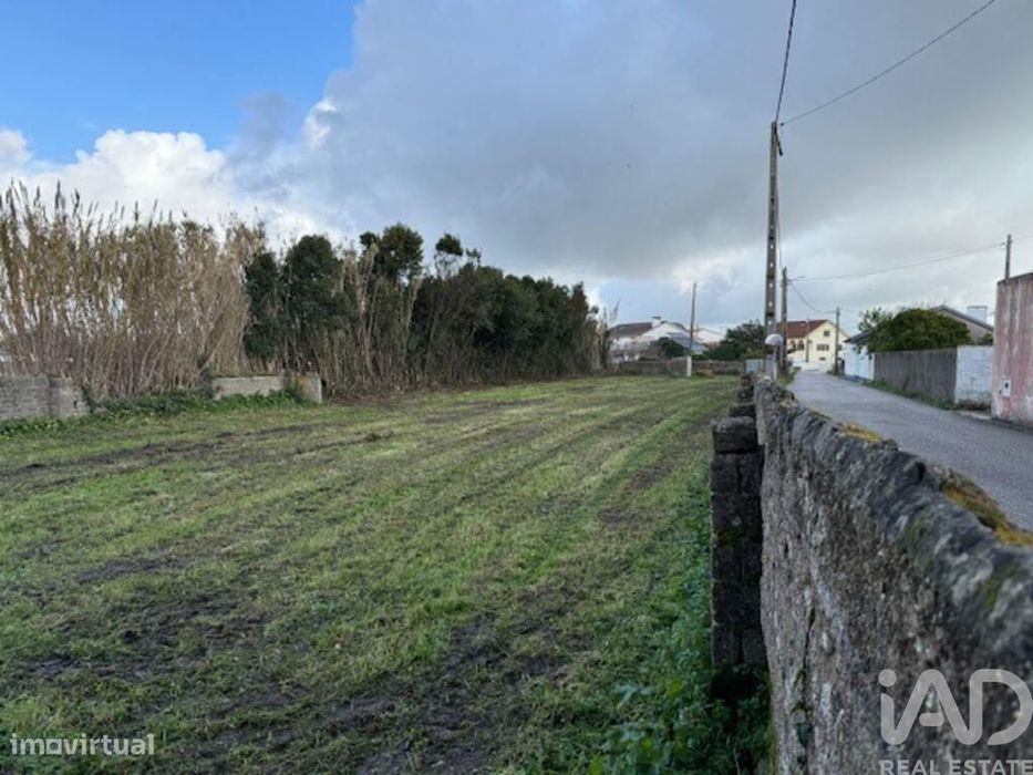 Terreno em Monte Real e Carvide