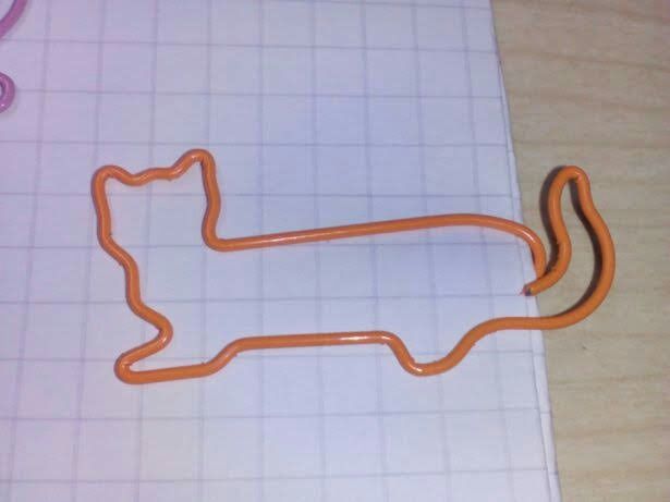 Gatos: 5 Clipes Gigantes.