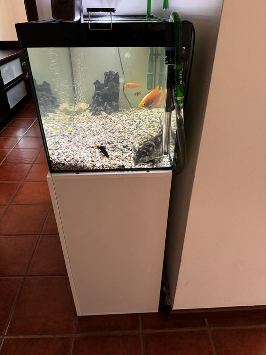 Aquário com movel