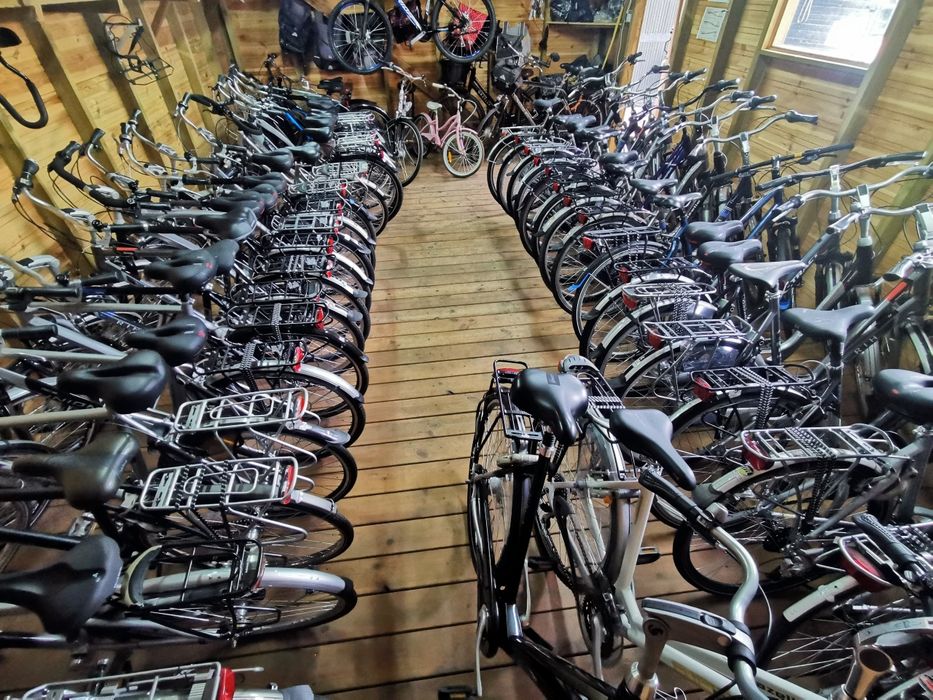 Gazelle Giant Batavus Koga Sparta