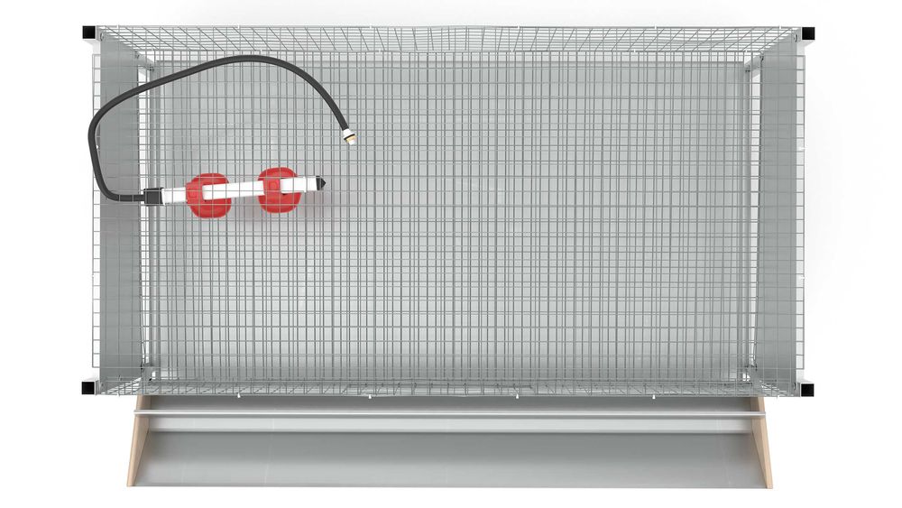 klatka dla przepiórek