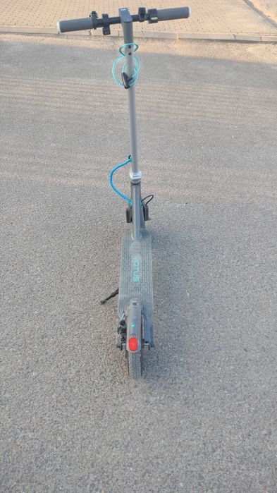 Motus scoty 10 lite 2020