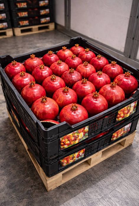 Продам фрукты оптом